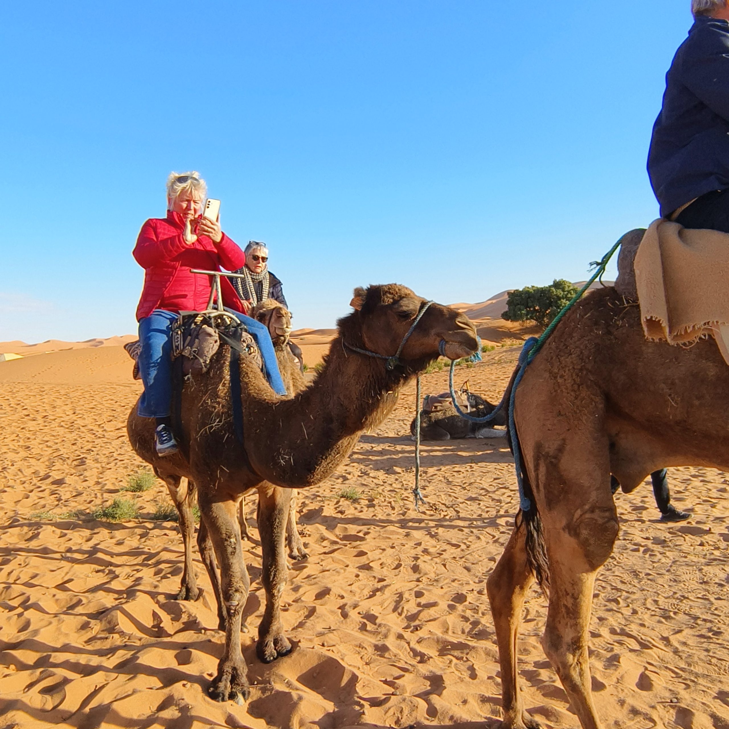 Merzouga